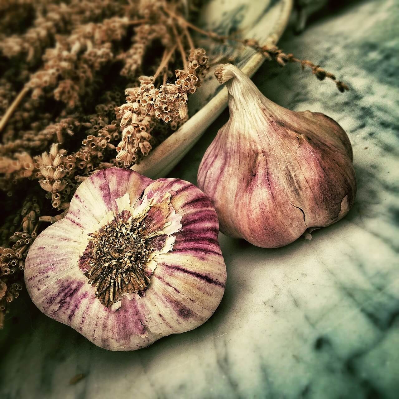 Garlic Health Benefits